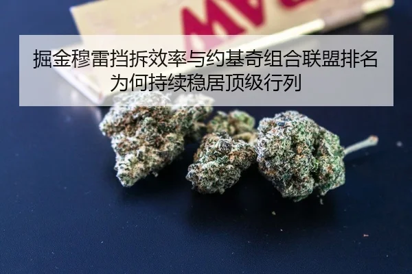 掘金穆雷挡拆效率与约基奇组合联盟排名为何持续稳居顶级行列