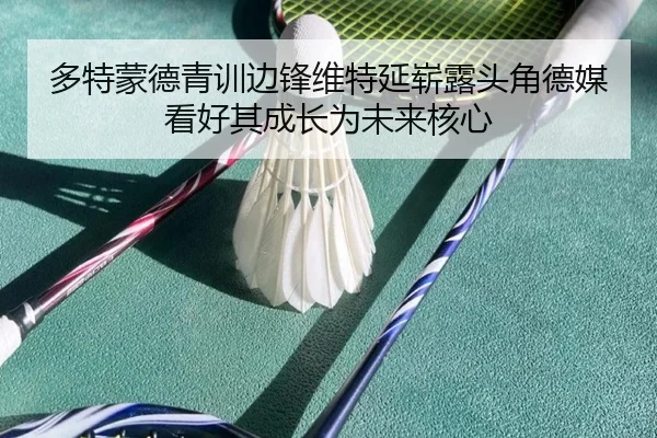 多特蒙德青训边锋维特延崭露头角德媒看好其成长为未来核心